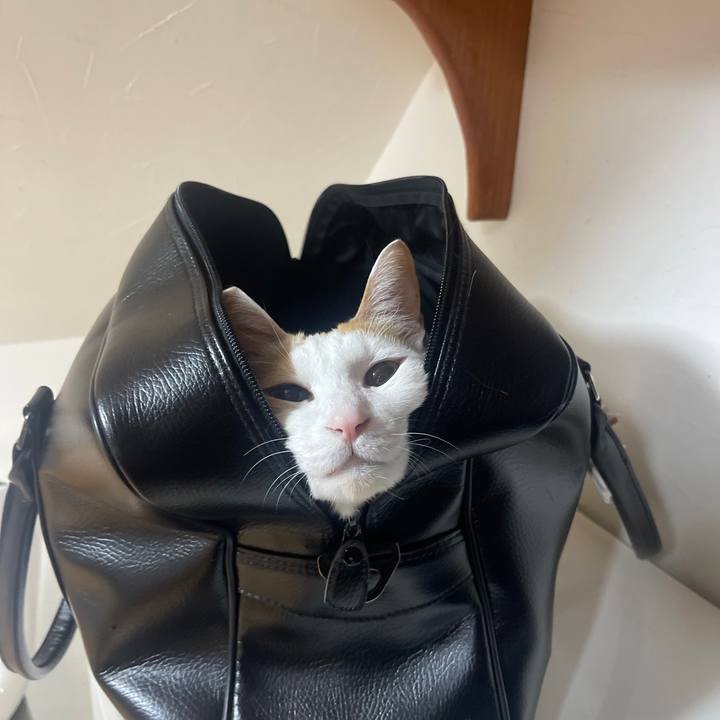 8d510221 1510 413a 89b3 f0de806568e6 1673668511462