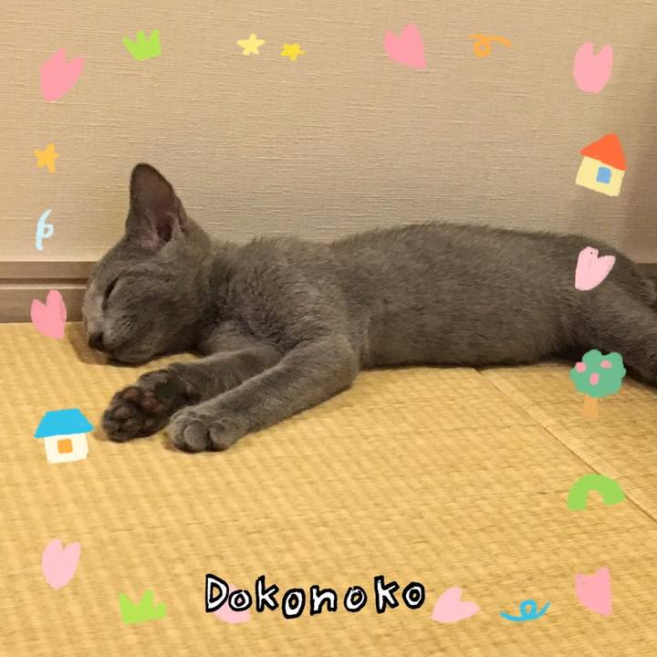 8d51294f 8a32 40f6 adf7 5cd0a8f277d4 1741082349644