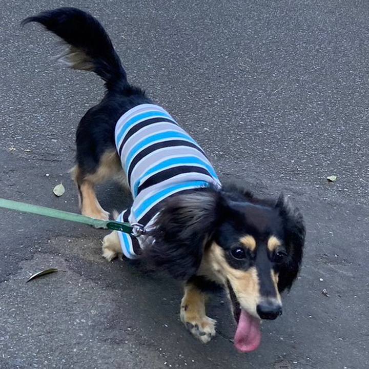 8d514d3a de6f 4412 aa76 4ba3472ccb9d 1681950416976