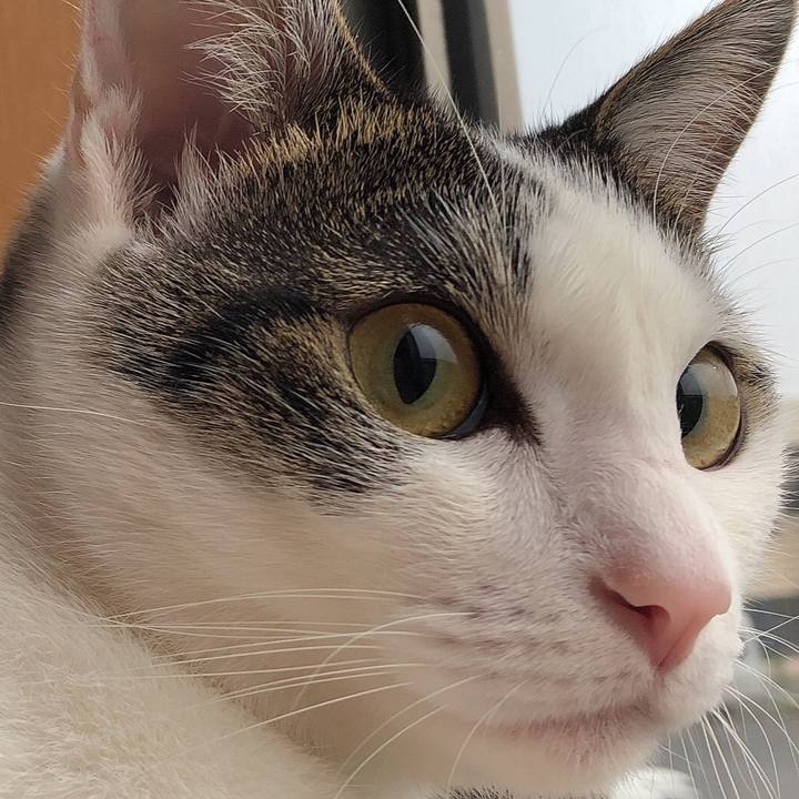 8d5152e0 5efc 4497 bc42 ae009841388d 1596849331008