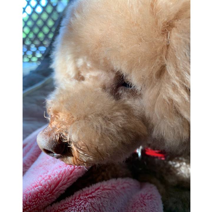 8d515a78 6d4a 4f0d b317 c5ac65924fa2 1559167101019