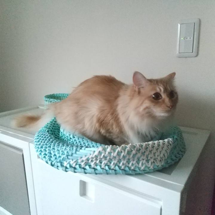 8d5161d3 d82b 4847 93c7 252cc7075831 1652393552539