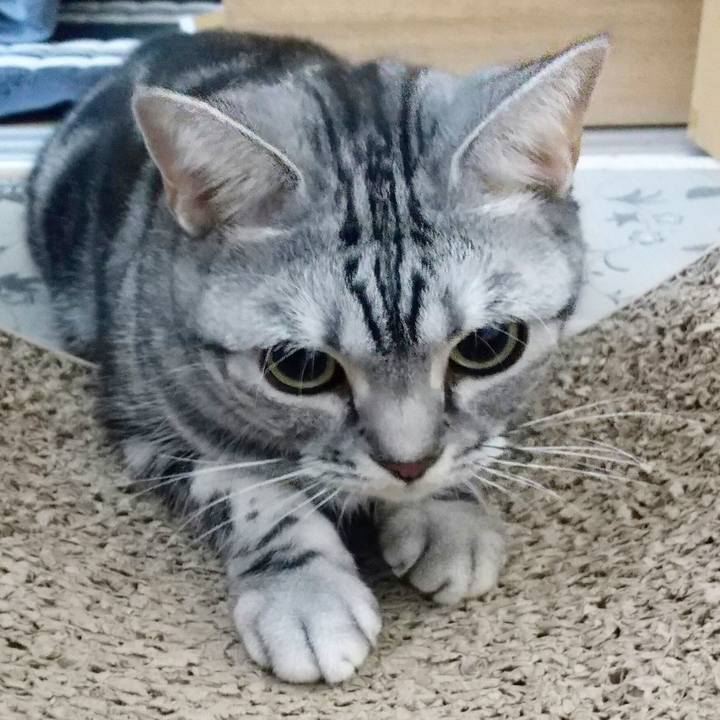 8d51714f b572 4863 b117 865f9c07aaae 1634823862455