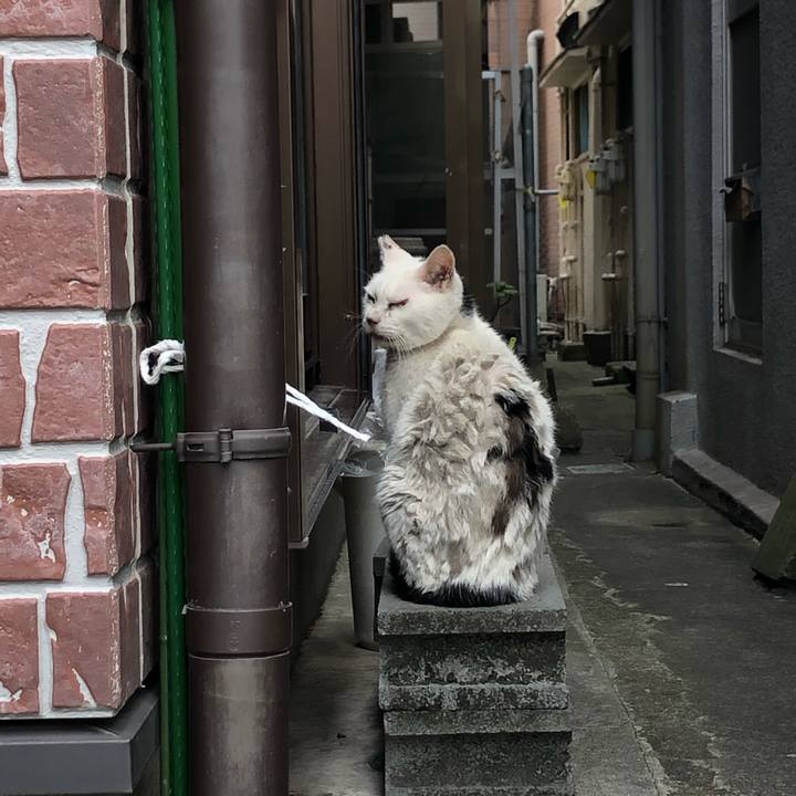 8d51843a 6914 4290 a003 2dcaca5581f3 1589716767058