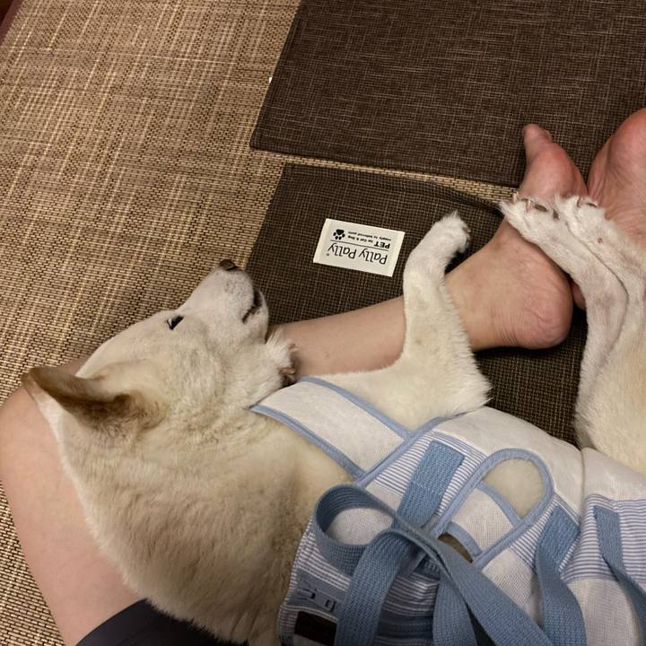 8d51b84b d462 4446 825a 4af3dd756b86 1660748519442