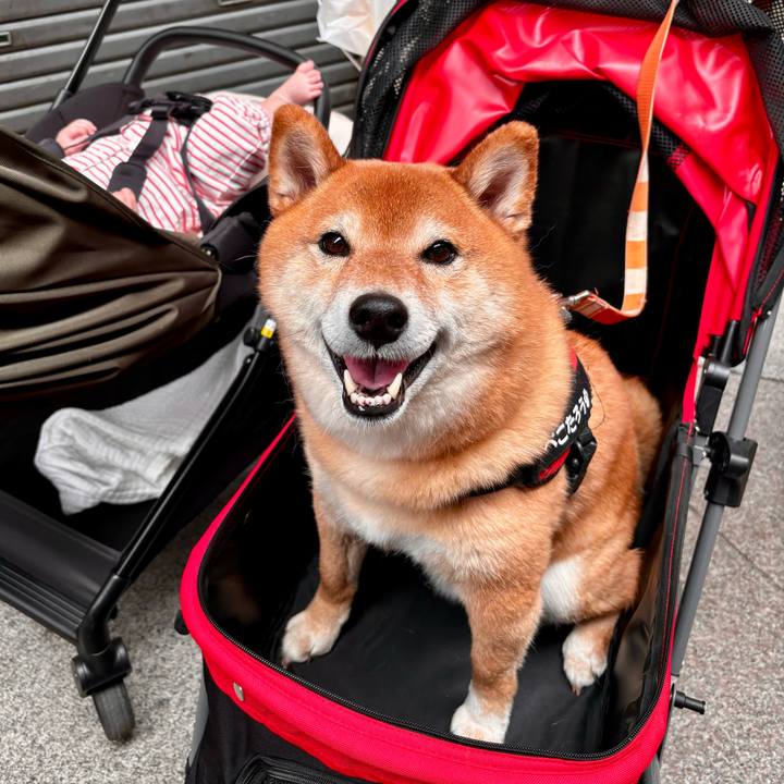 8d51ecc3 988d 415a 81b1 50e9c5025988 1714720367988