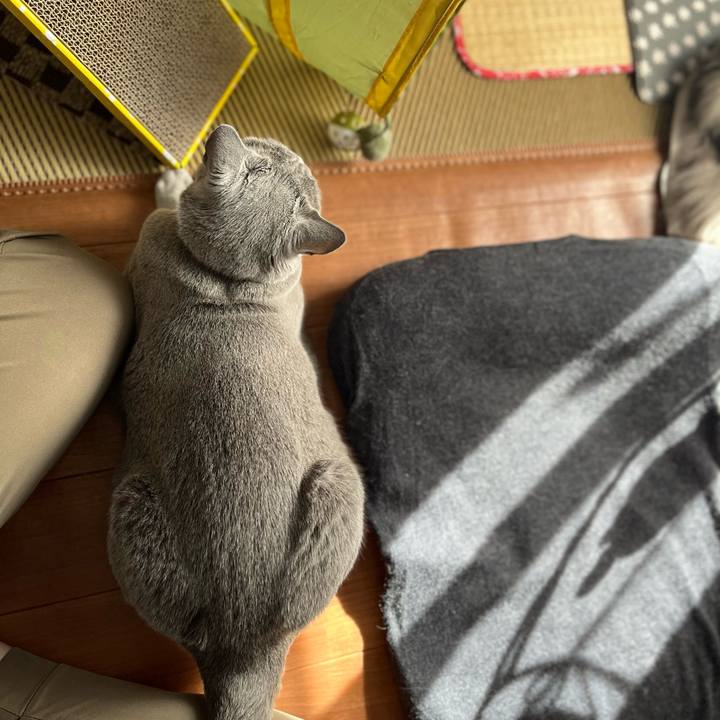 8d520fb1 fbae 458d a5b3 c688011f7c8b 1674872717289