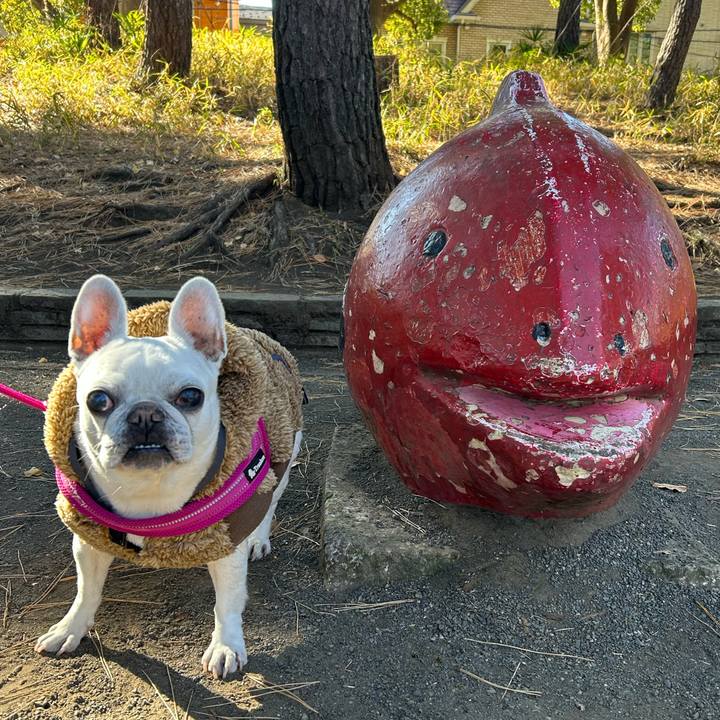 8d521035 27da 4da8 8e0c 248a8b6d4d6e 1737178317557