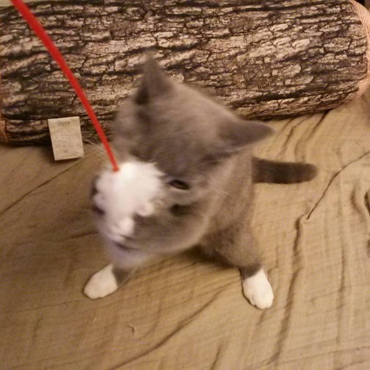 8d521651 e4c5 47f7 b065 b69b94dc64c7 1533767415146