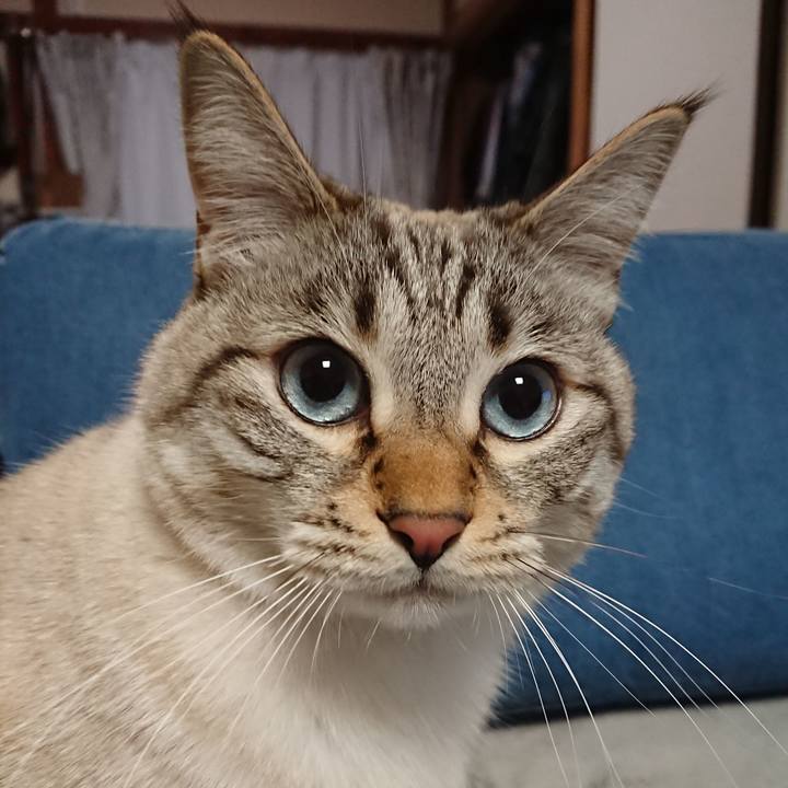 8d52225f 72e9 4565 9de9 db1af8557afc 1549376345728