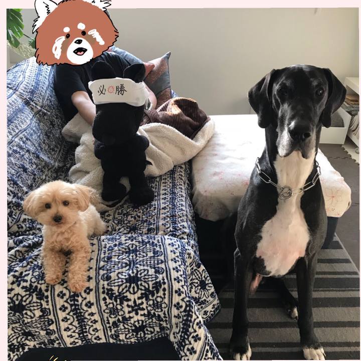 8d522a29 cef5 49e2 99ff 3eb54faa12cf 1519340103137