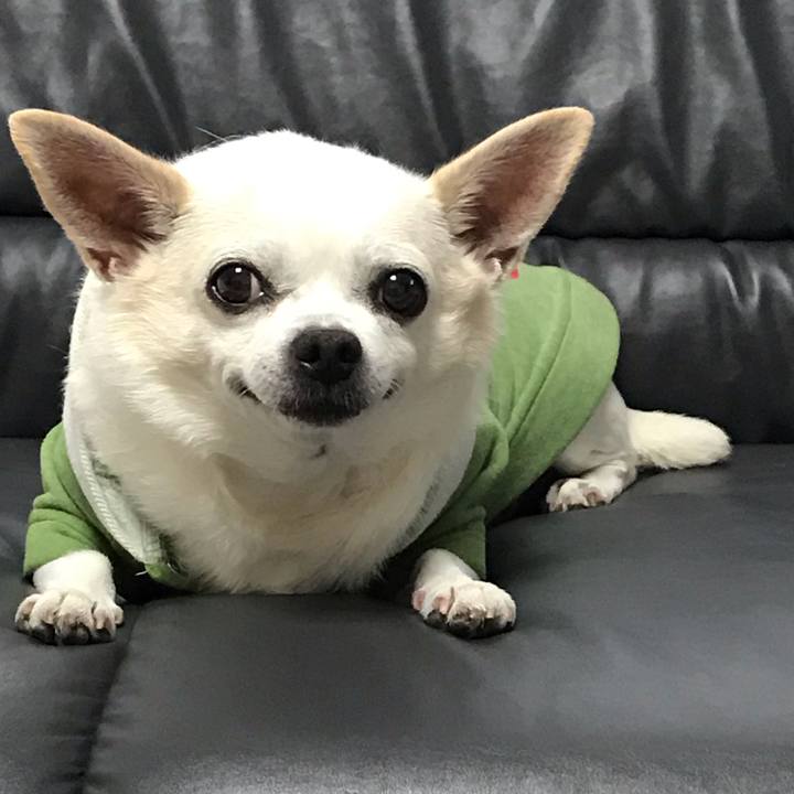 8d522fe1 530e 45a0 9259 d095abf671ee 1573041525958