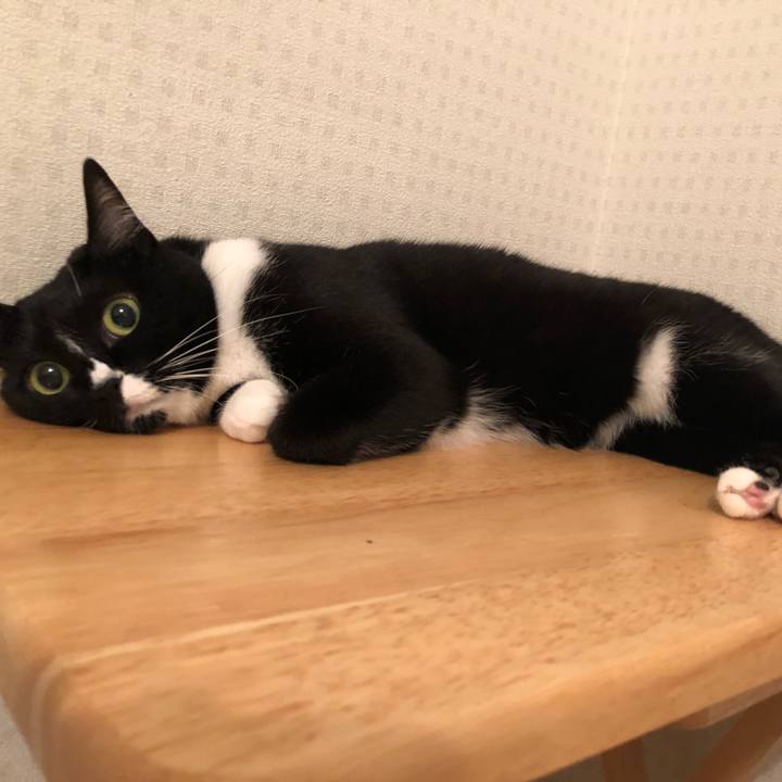 8d525ca7 476e 4552 b48b ee0ffb89787e 1536874382059