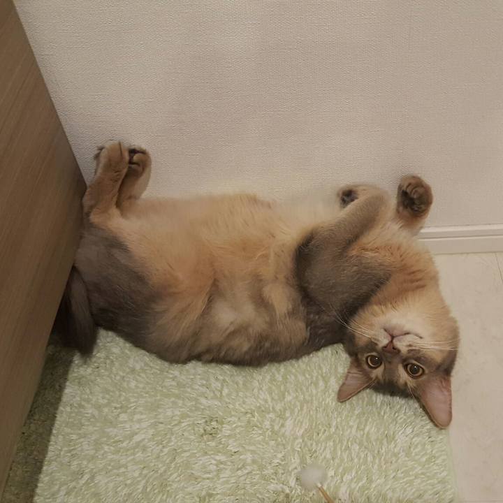 8d525f3d f178 468f acdb 3e034c2fac2f 1532176068154