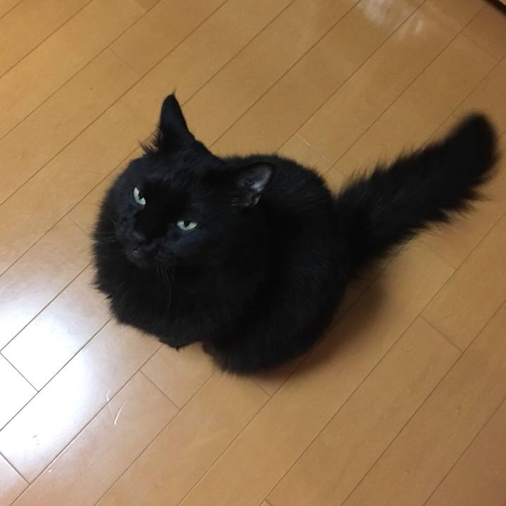 8d526e38 7d5e 445a a9f8 12c761dc0fdd 1568976001559