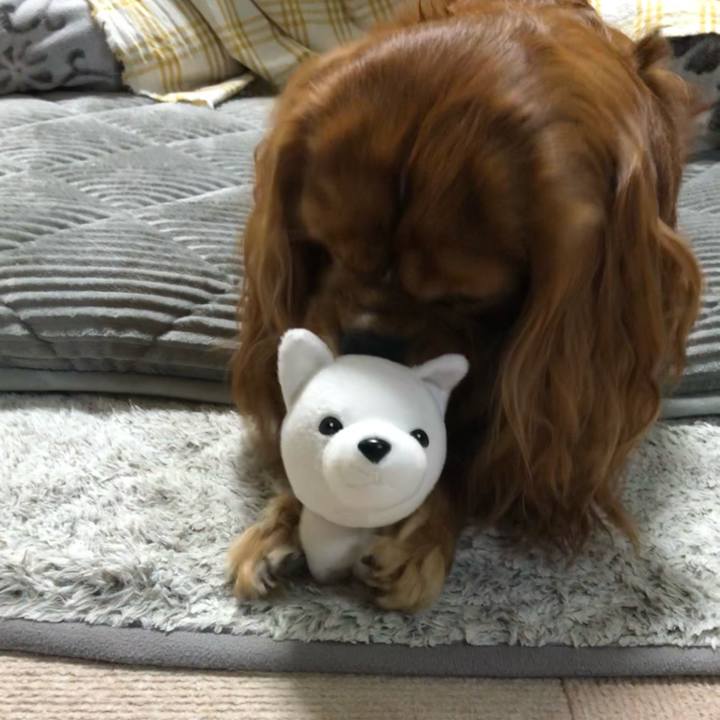 8d527902 99d2 458c af1b 255cfa6909dc 1637576598458