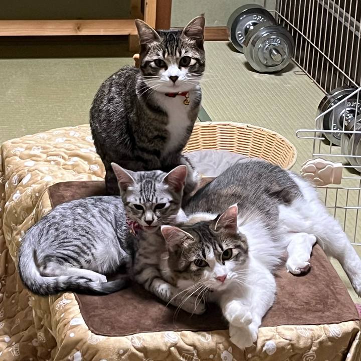 8d52ad44 a265 472d bda4 c2bf1d145815 1701507671035