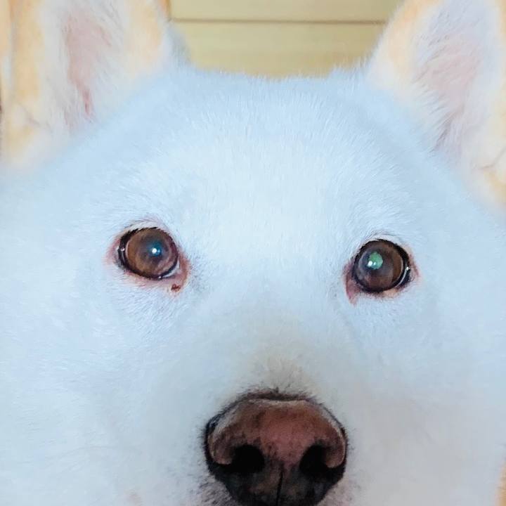 8d52c7bd 0199 4aa7 8d34 42eba362ff44 1592858366151