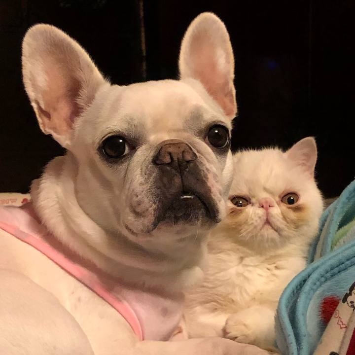 8d53040f 8e46 4b40 bd08 a6abe59ae24e 1552731939560