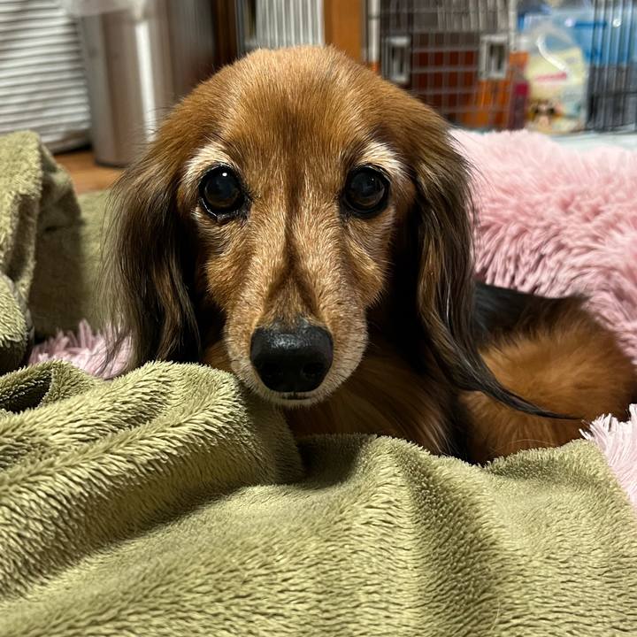 8d530877 a4c2 40b1 8ac2 d6be82d9e69c 1767512470102