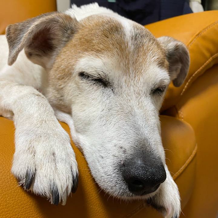 8d534a20 47dd 4efe a50b 4745e5fc758a 1618402326864