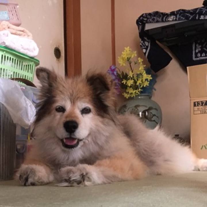 8d534e74 3e74 41ee bcfc 8d0a19c3009a 1554763234213