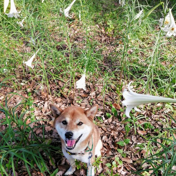 8d536db1 9e30 4bfa bbd0 377d65e4dc0d 1628672216676