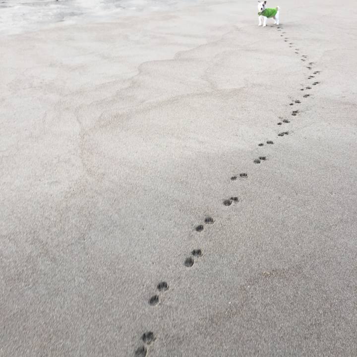 8d53b0e3 8794 4fe3 8ae5 f964f537bec1 1514512012318