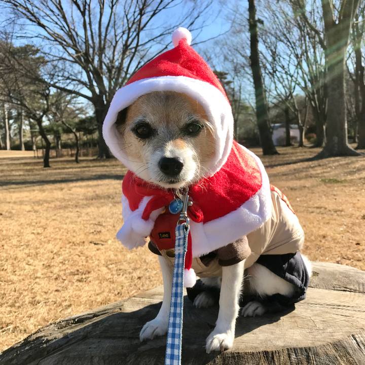 8d53b61d 4359 4591 8e5b eb98ff72dd46 1608765621731