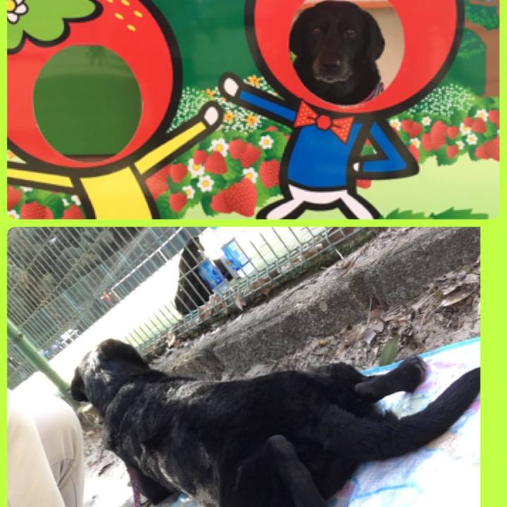 8d53c8f0 510a 46be 8208 19a05585f237 1520141222309