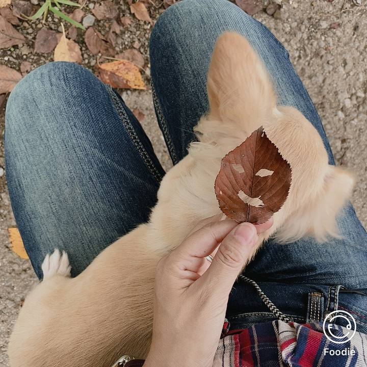 8d53c91e d02e 44ce 9283 6a9cdf6c229d 1600321409740