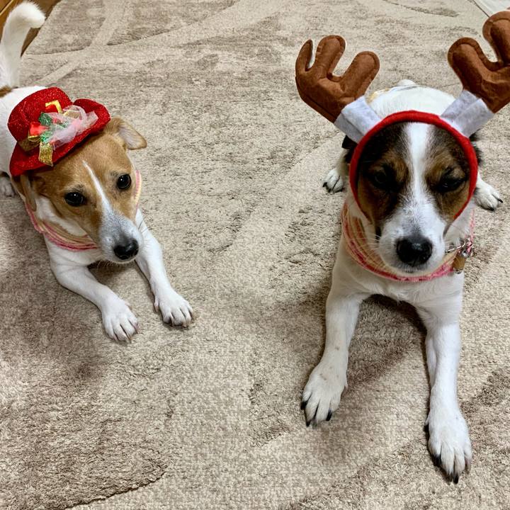 8d53cfbe 4113 4440 8122 a999a7750c64 1608804112397