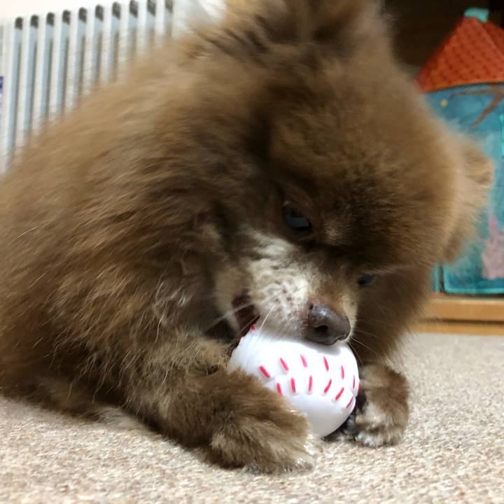 8d53fc4c 7881 41f0 a8c6 f7f60514d6b0 1603715815657