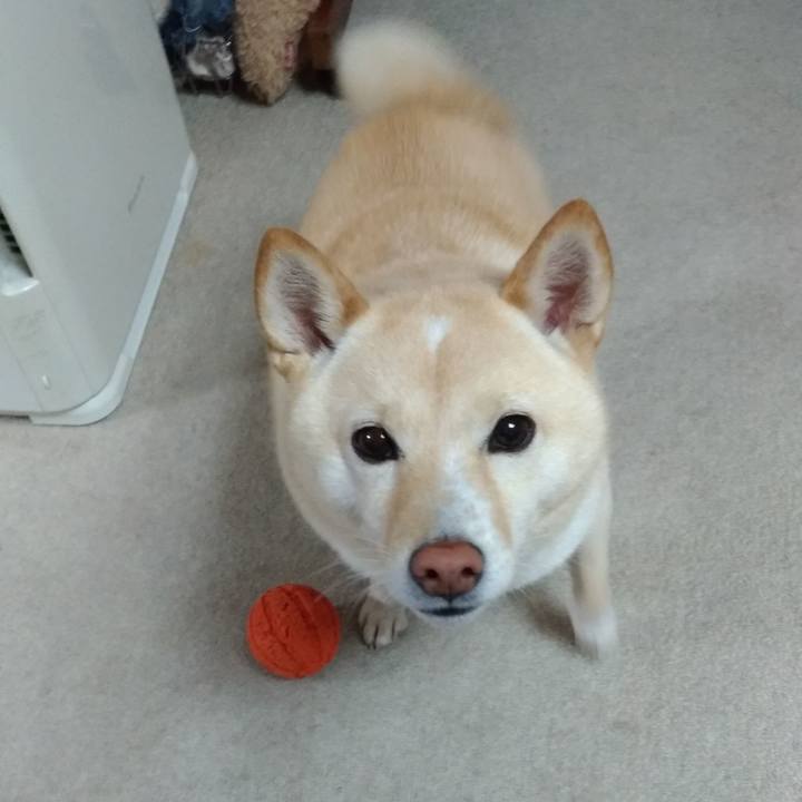 8d53fe33 d6a9 481f bd55 813663d9746b 1606255550855