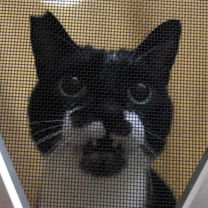 8d54058b 7d34 4649 bd77 949b540793cd 1651571838274