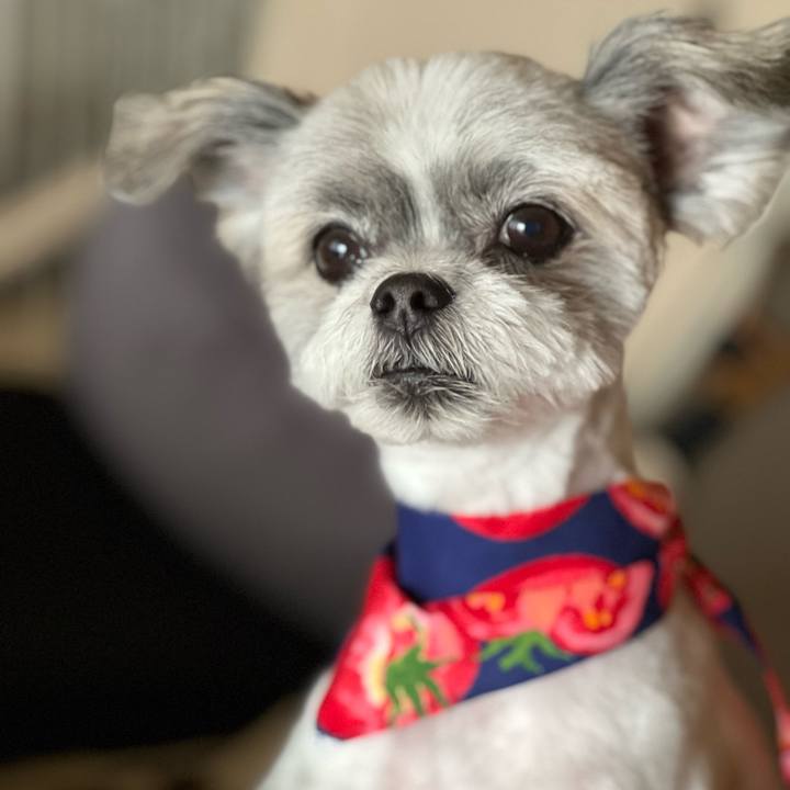 8d5433ed 5c8e 4e40 b0a3 57ee57bb2d53 1687942118492