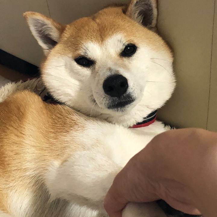 8d543987 ff18 423a 914f 05cfe6c55c1c 1525061068104