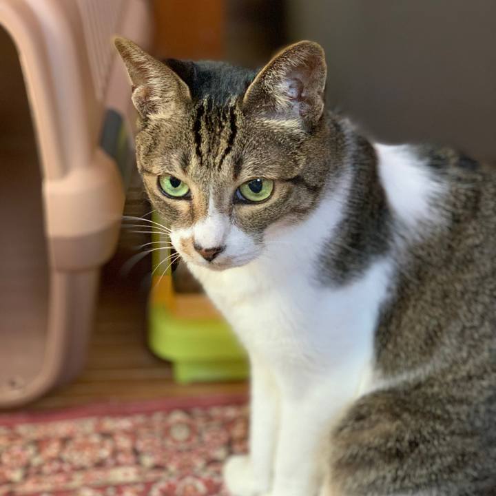 8d543cbd 1786 48d5 8a81 2fa84d0f576e 1565484681524