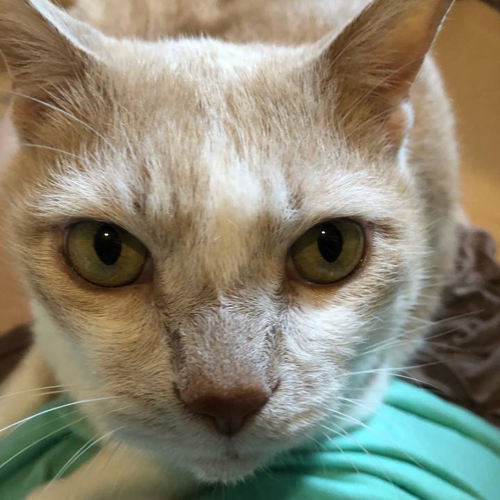 8d5447da 2d74 4d82 be45 69933918076f 1628320514127