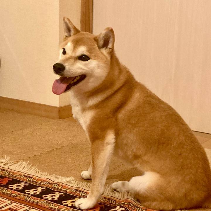 8d545463 0106 4061 831e 7f3fbda902f0 1743147977545