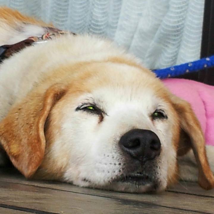 8d545bd8 1770 49eb 9620 83614756aea5 1512529160657