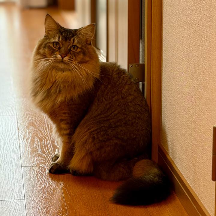 8d54825c 3043 4c01 9efc 9d51c8b0e004 1764480091126