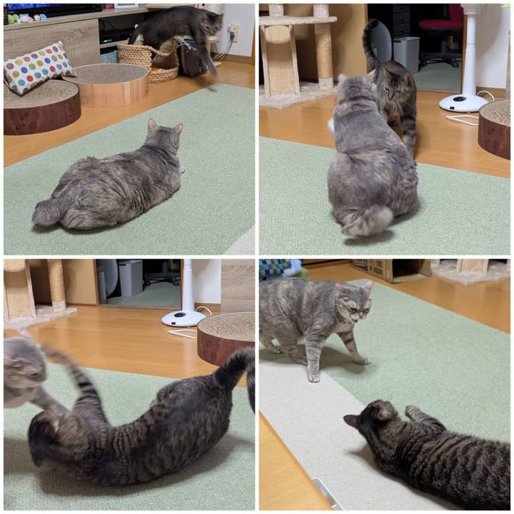 8d54a805 8ab5 474f adc7 bb884e5ca1a2 1749801132191