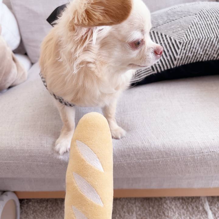 8d54c92f 0a9d 4b51 9842 6d8d6c8fd334 1747401820832