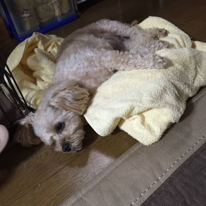 8d54d6d3 7e84 4275 b9c5 044fdad51207 1532596899439