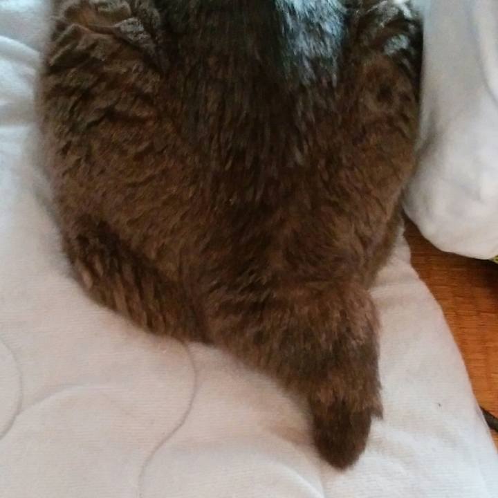 8d54d7cd 38ca 4edc a60f 4587fd2a40e5 1597019612759