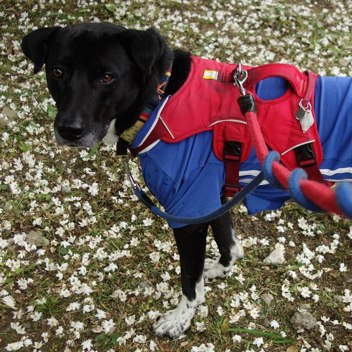 8d54deb7 7eb9 4339 871d c02a20d6c6b9 1620863808721