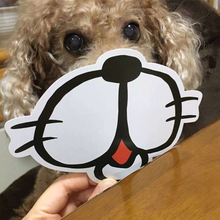 8d55149e 0547 4055 bca9 aed90b730f14 1526560335656