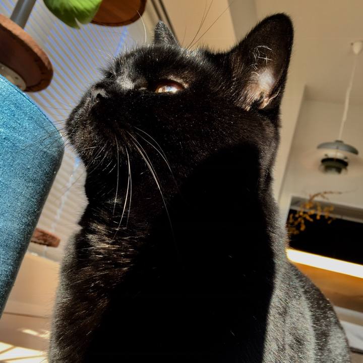 8d553643 f24d 4e28 93b1 d8f19d5839fe 1543213219237