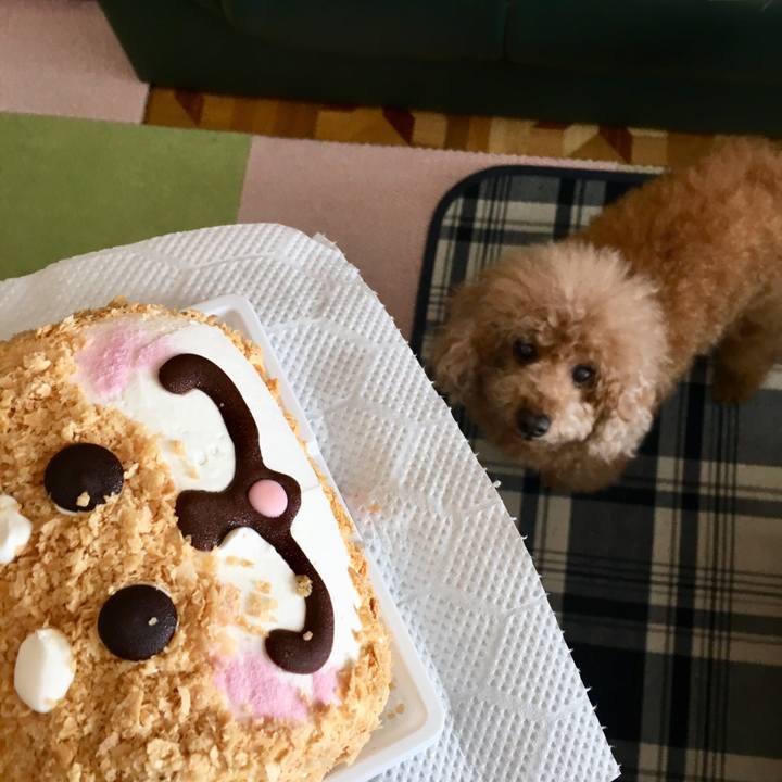 8d55b98e 1cd1 4614 8536 1f57a63e58d7 1516976074045